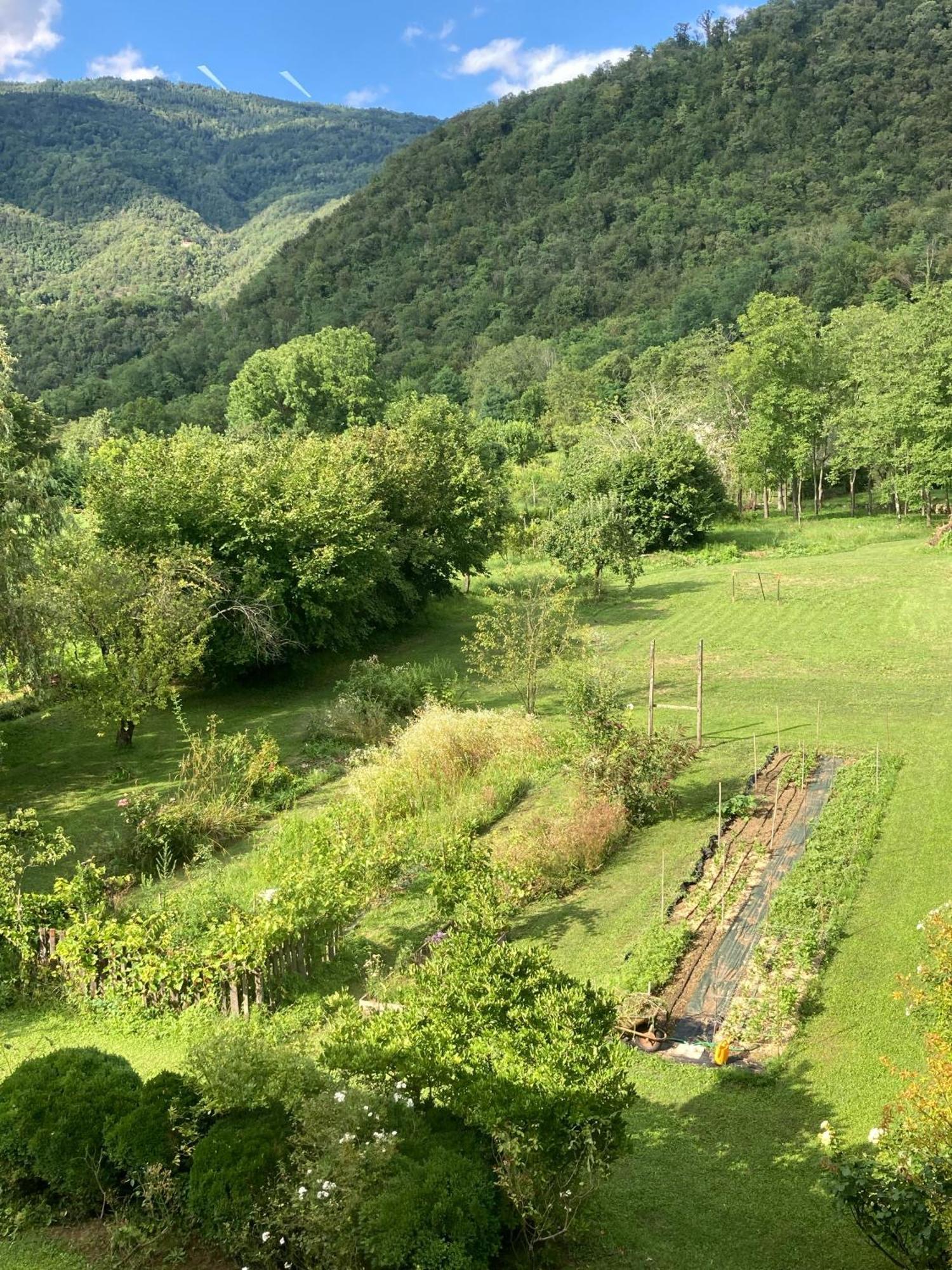 Casa Del Grivo - Alloggio Sole Faedis Buitenkant foto
