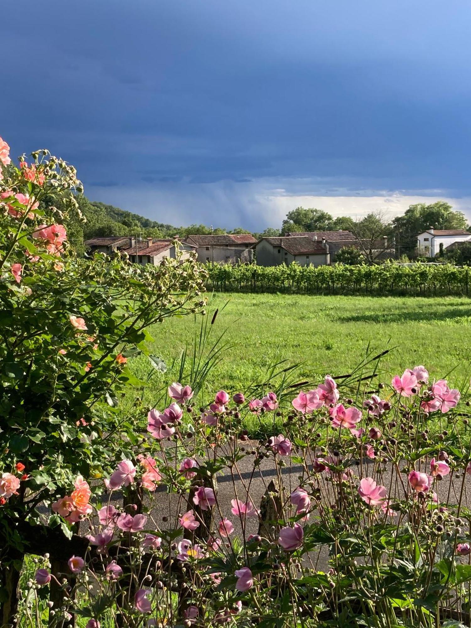 Casa Del Grivo - Alloggio Sole Faedis Buitenkant foto